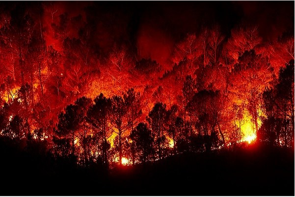 Estesa fino al 30 settembre la fase di attenzione per gli incendi boschivi