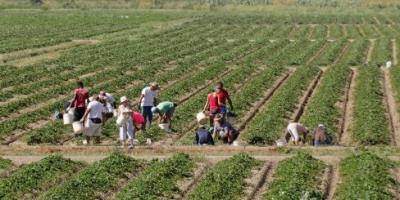 Stop regionale al lavoro in condizioni di caldo estremo foto 