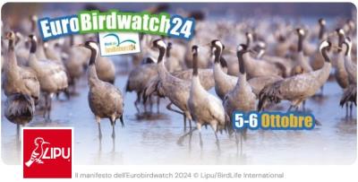 Iniziativa LIPU modenese EuroBirdwatching Day 05 ottobre 2024 foto 