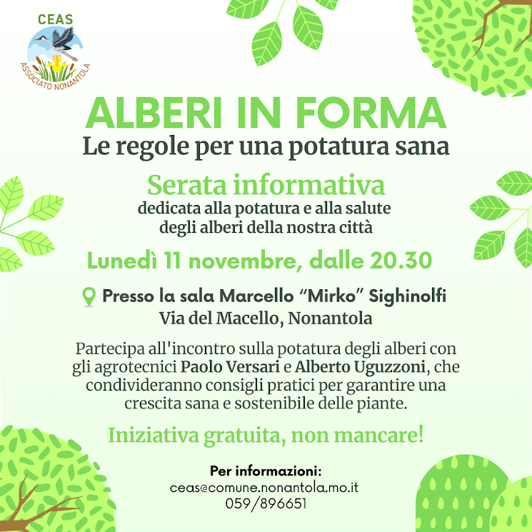 Alberi in forma, serata informativa lunedì 11 novembre