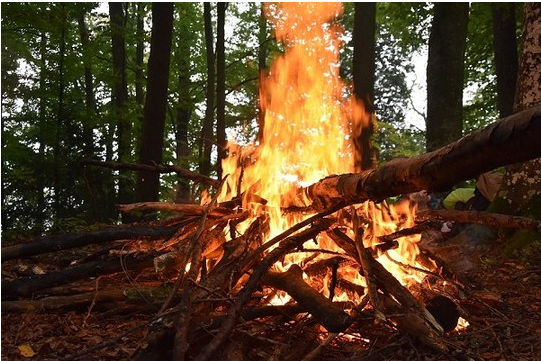 Incendi boschivi: da lunedì 6 settembre fino al 19 settembre torna la 'fase di attenzione' in tutta la regione