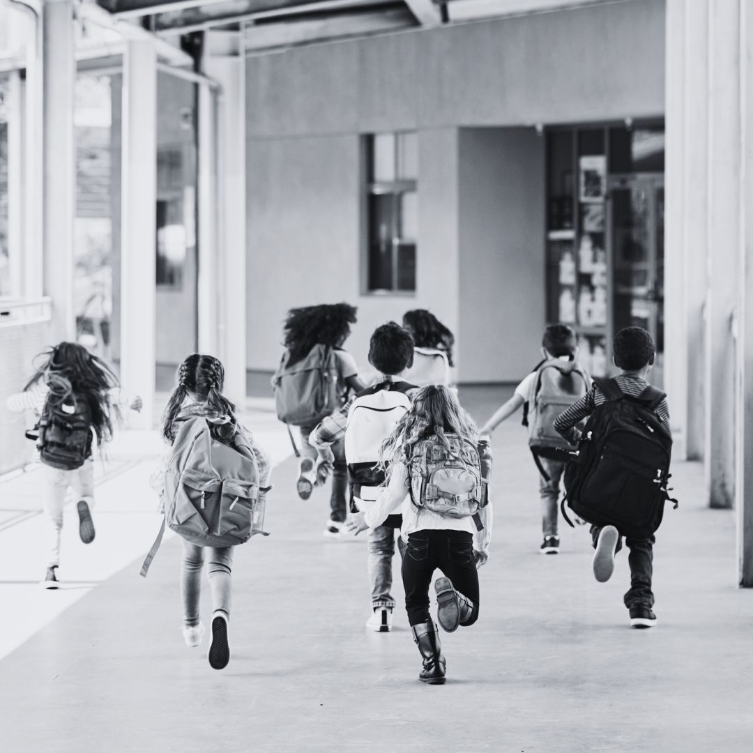 La nostra città, la nostra scuola
